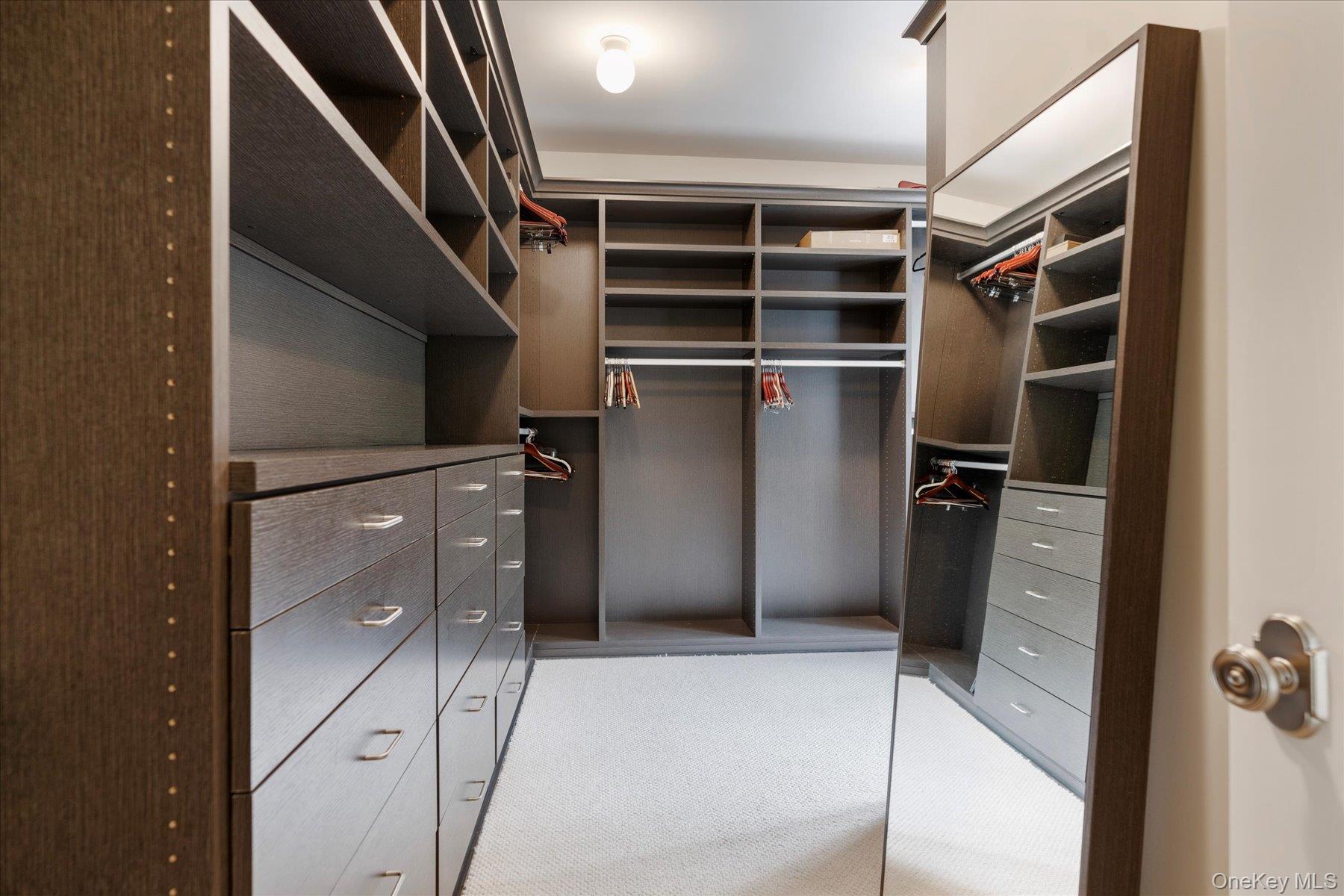 231 Flying Point Road Southampton, NY 11968 - Photo 17 of 34 Walk in closet with carpet flooring
