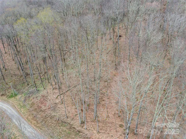$8,000 | Lot 150 Puncheon Lane, Mars Hill, NC 28754