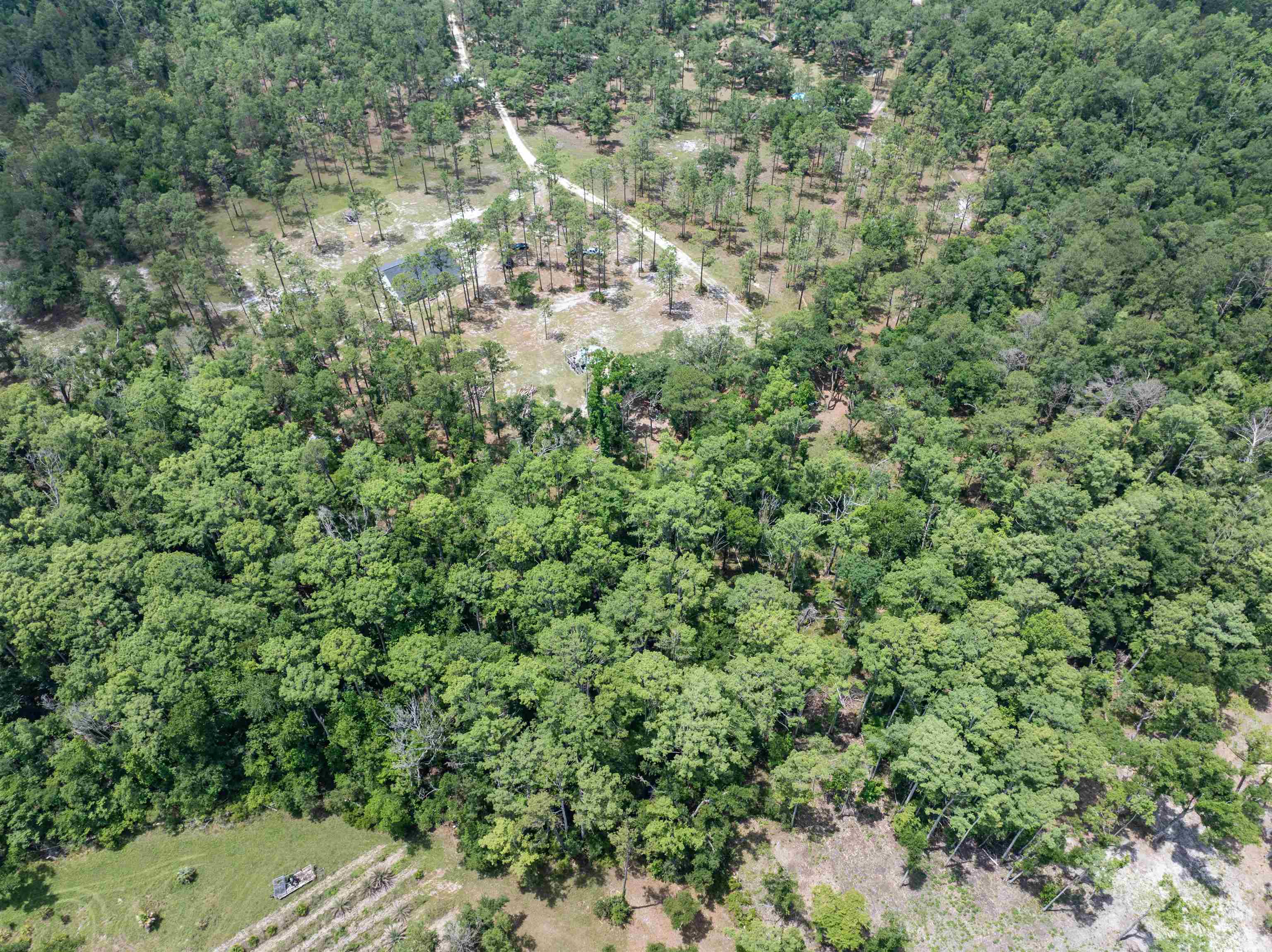 2878 West U.S 98 Perry, FL 32347 - Photo 59 of 64