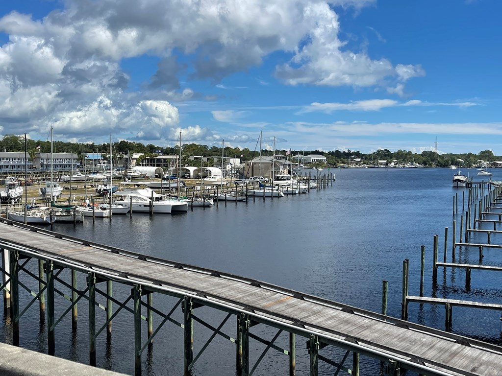 1645 Landing Street Carrabelle, FL 32322 - Photo 12 of 22