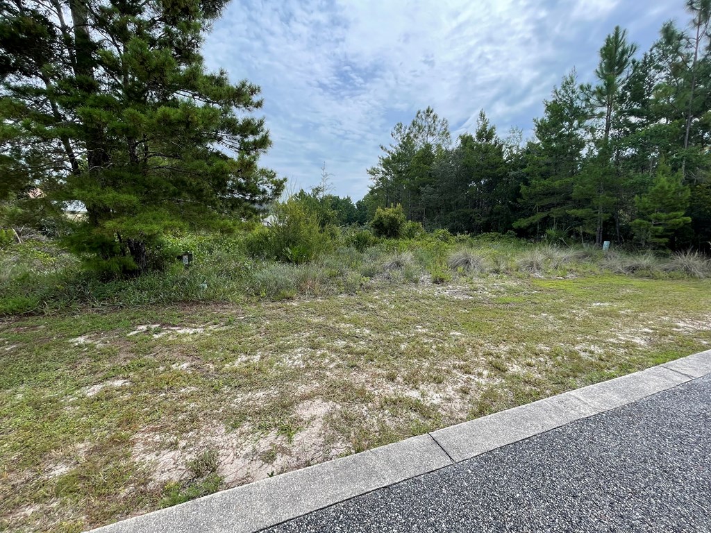 1645 Landing Street Carrabelle, FL 32322 - Photo 2 of 22