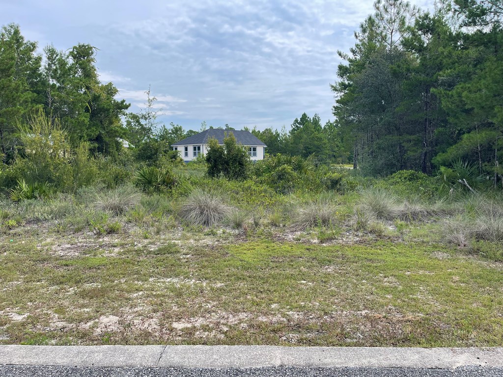 1645 Landing Street Carrabelle, FL 32322 - Photo 3 of 22