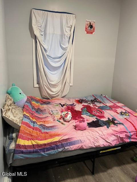 369 1st Street Albany, NY 12206 - Photo 10 of 17 IMG_0633