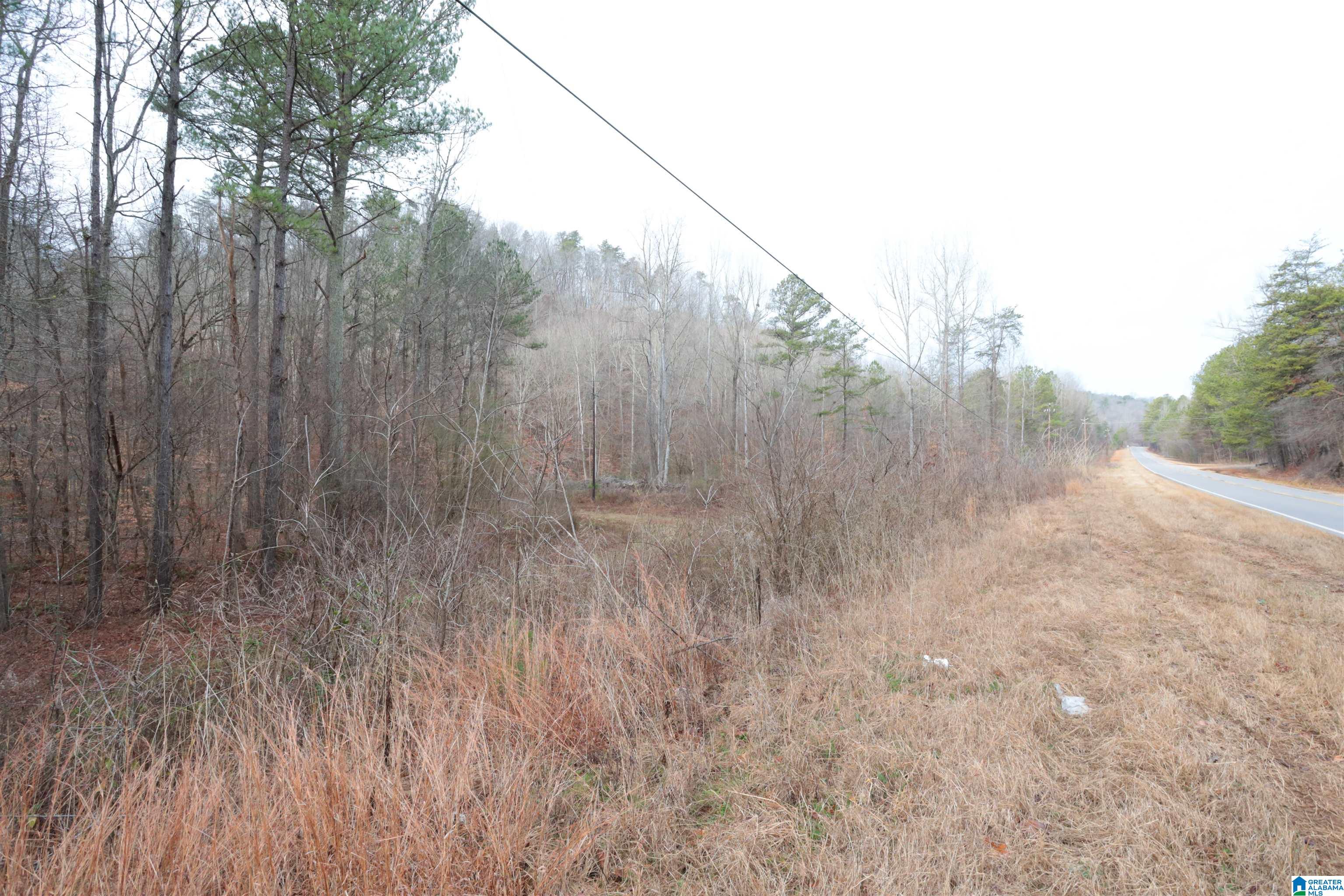 8751 Groundhog Road, Unit 41 ACRES Adger, AL 35006 - Photo 15 of 17