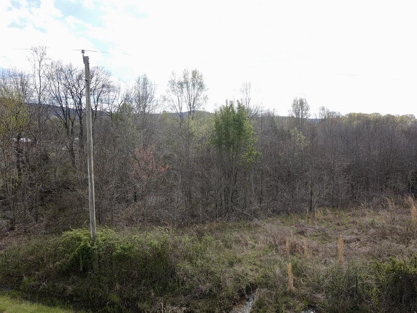 0 East Roarks Cove Road Decherd, TN 37324 - Photo 11 of 37 2024-04-05-15-54-21-398