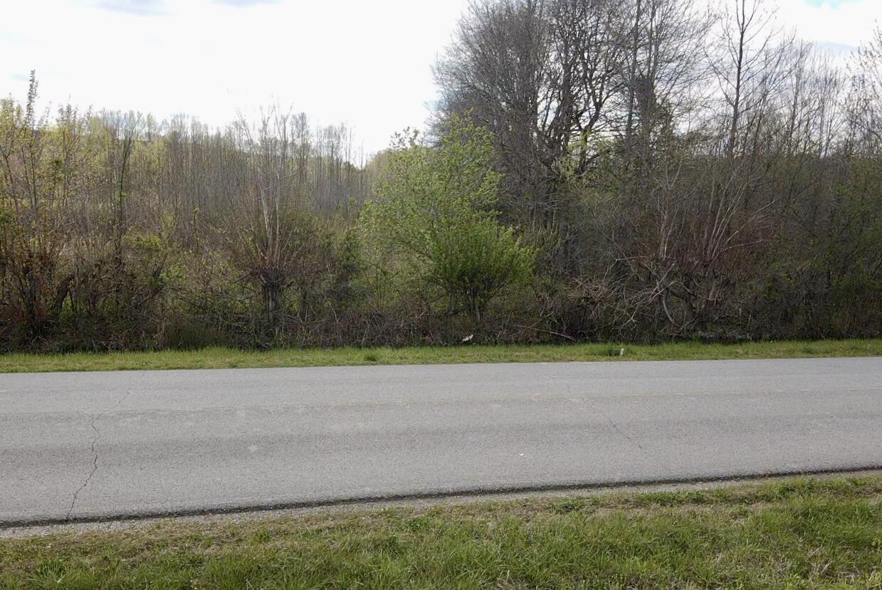 0 East Roarks Cove Road Decherd, TN 37324 - Photo 13 of 37 2024-04-05-15-51-47-477
