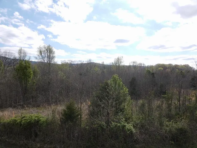 $125,000 | 0 East Roarks Cove Road, Decherd, TN 37324