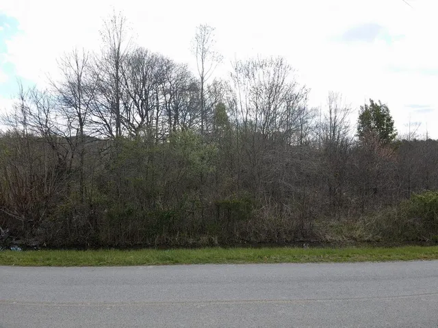 $125,000 | 0 East Roarks Cove Road, Decherd, TN 37324