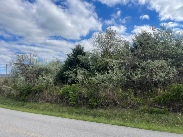 $125,000 | 0 East Roarks Cove Road, Decherd, TN 37324