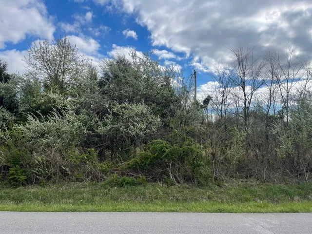 $125,000 | 0 East Roarks Cove Road, Decherd, TN 37324