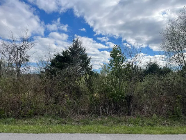 $125,000 | 0 East Roarks Cove Road, Decherd, TN 37324