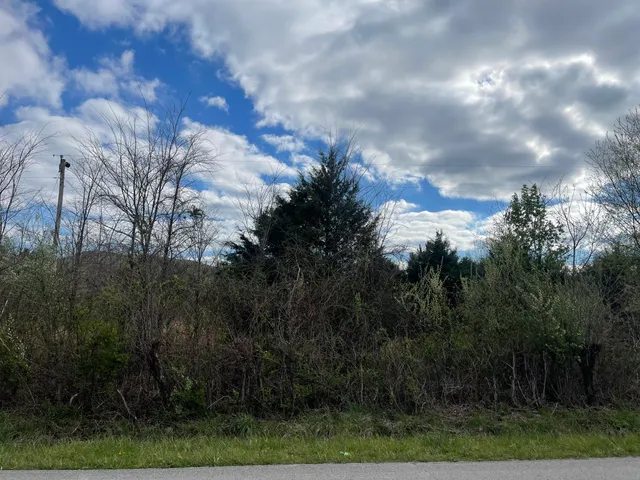 $125,000 | 0 East Roarks Cove Road, Decherd, TN 37324