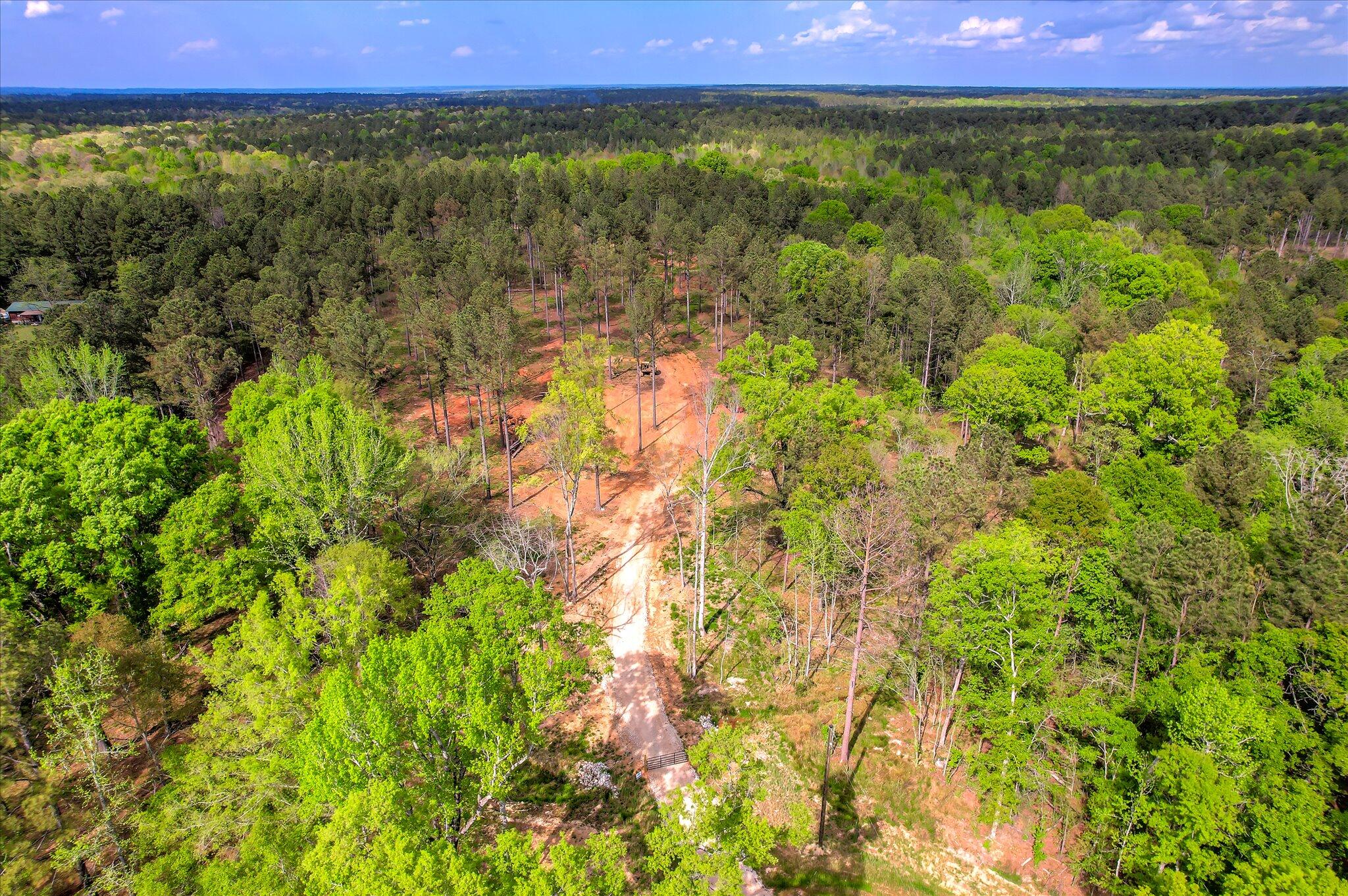 575 Rabbit Pen Drive Appling, GA 30802 - Photo 7 of 19 06-106