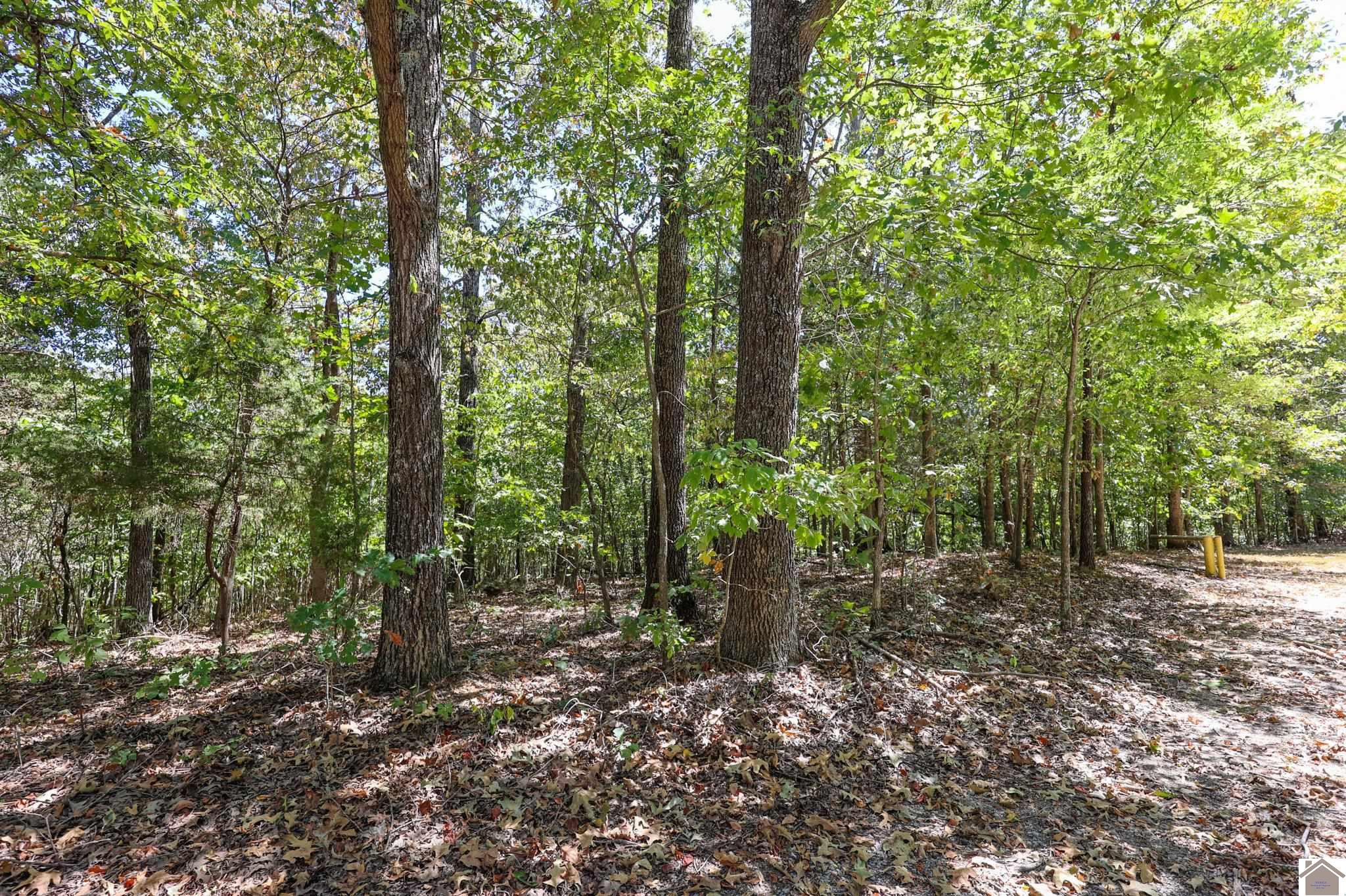69 Waschick Road Kuttawa, KY 42055 - Photo 10 of 12 Photo 10
