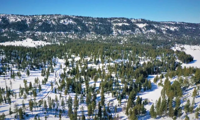 $335,000 | Lot 12 Blackhawk Lake Drive, Unit 12, McCall, ID 83638