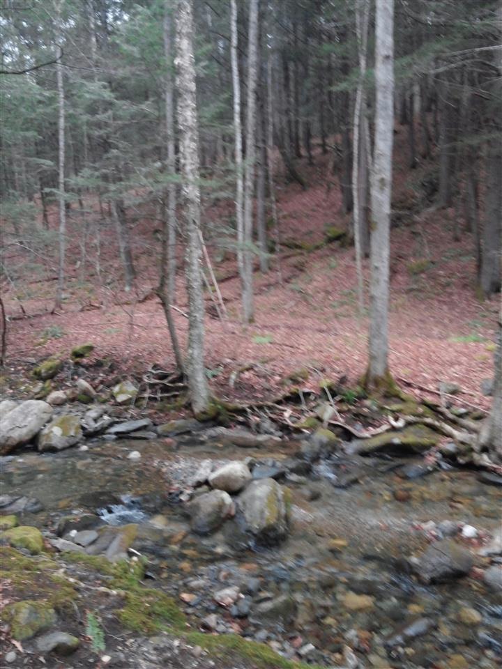 0 Baker Brook Road Williamsville, VT 05362 - Photo 1 of 3
