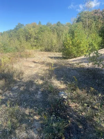 a view of mountain view with trees