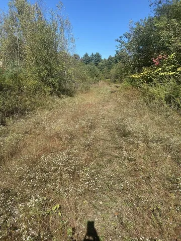 a view of a yard with trees in the background