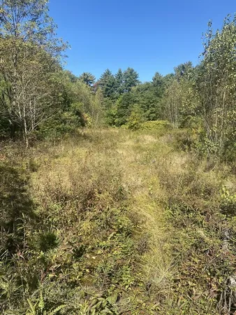a view of a green field