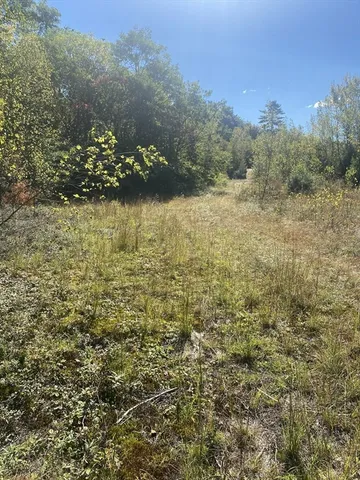 a view of a green field