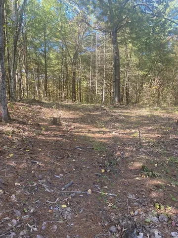 a view of a yard with trees