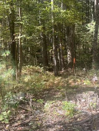 a view of mountain view with trees