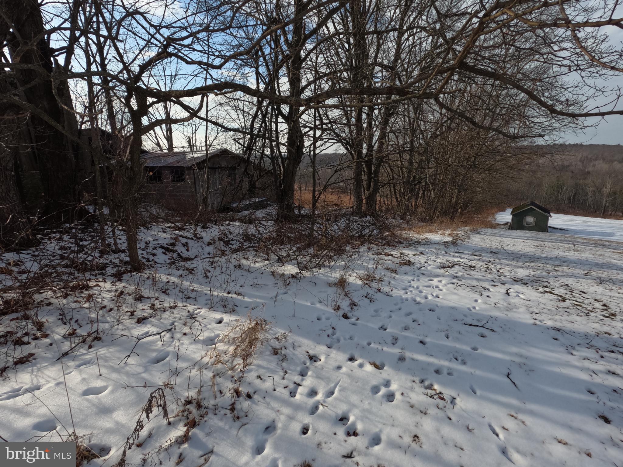 0 South Sterling Road Sterling, PA 18463 - Photo 9 of 20