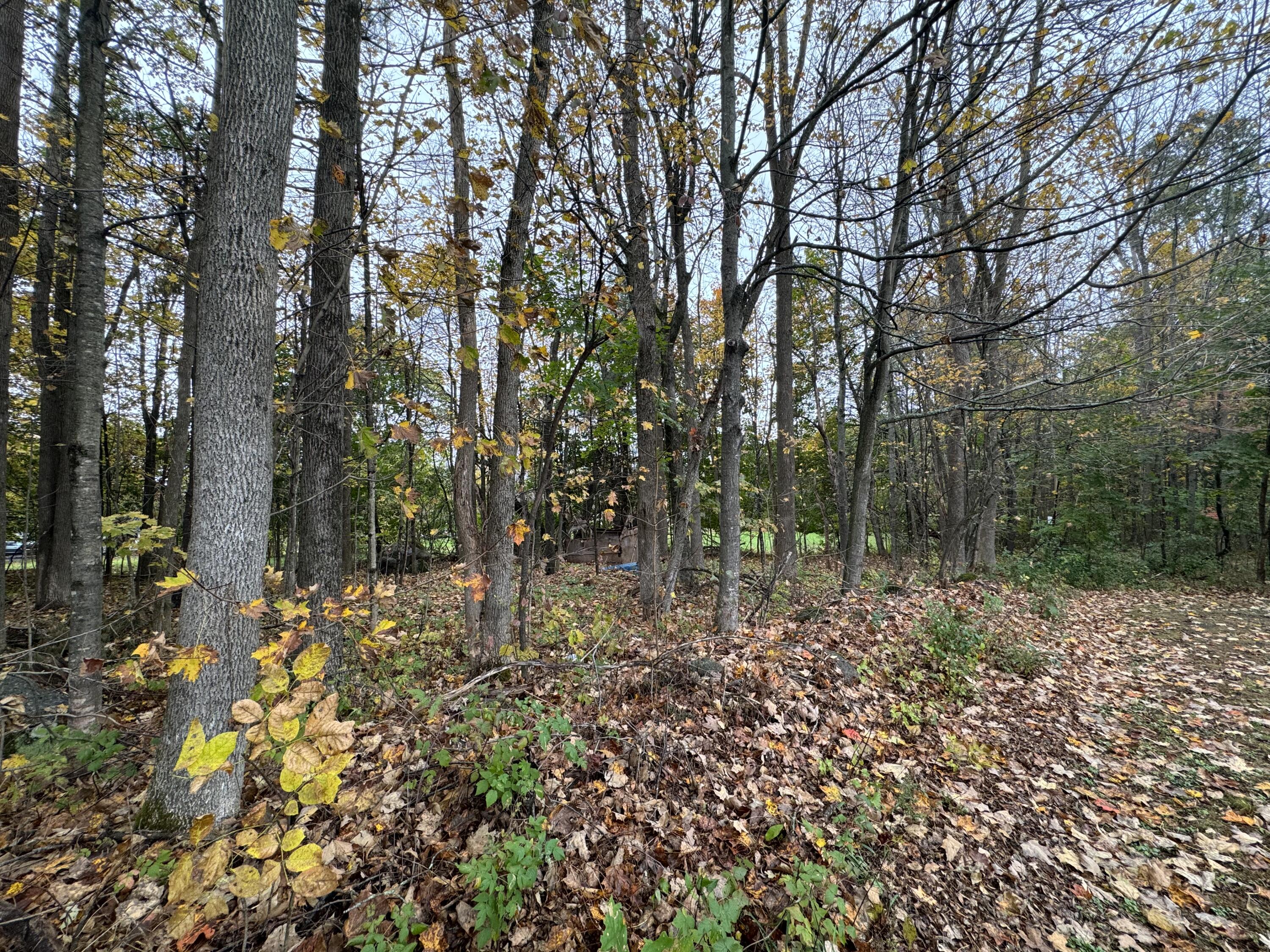 Tbd Albion Road Waterville, ME 04901 - Photo 12 of 22 IMG_1625