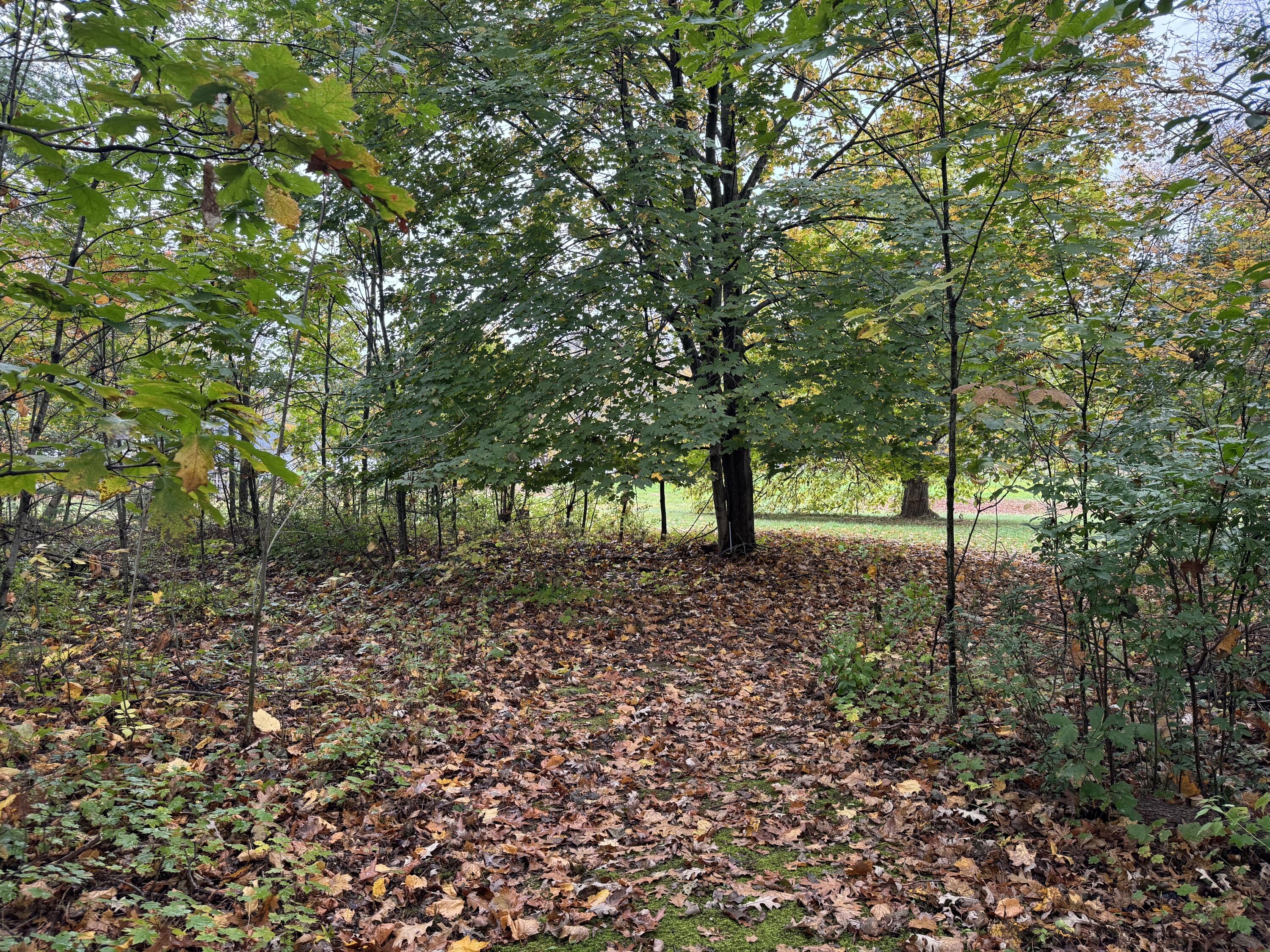 Tbd Albion Road Waterville, ME 04901 - Photo 19 of 22 IMG_1633