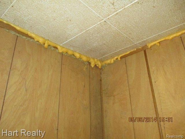 96 East Lapeer Road Peck, MI 48466 - Photo 12 of 15 Greatstuff.jpg