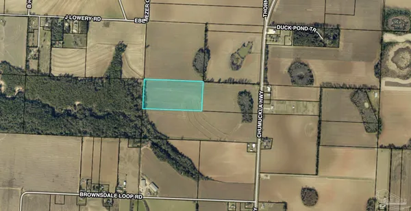 $270,000 | 20-acres Chumuckla Highway, Jay, FL 32565