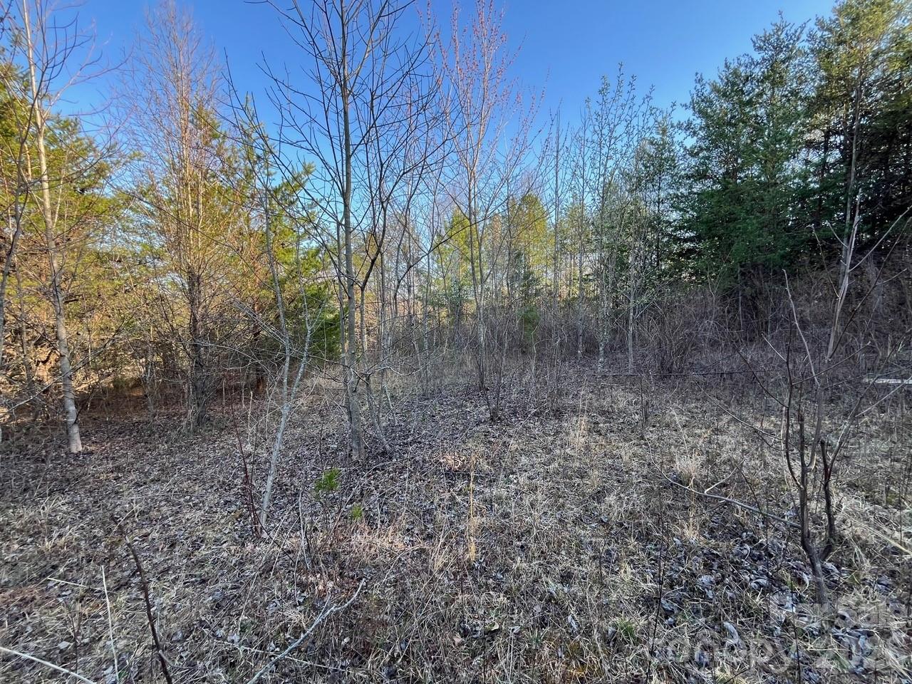 Tbd Southern Way Nebo, NC 28761 - Photo 16 of 22