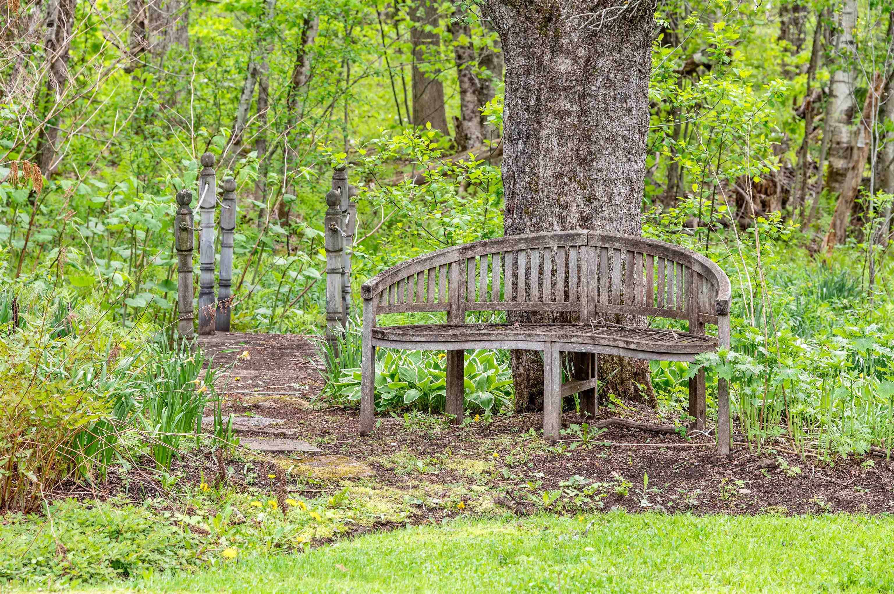753 Scrabble Hill Road Duxbury, VT 05676 - Photo 52 of 57