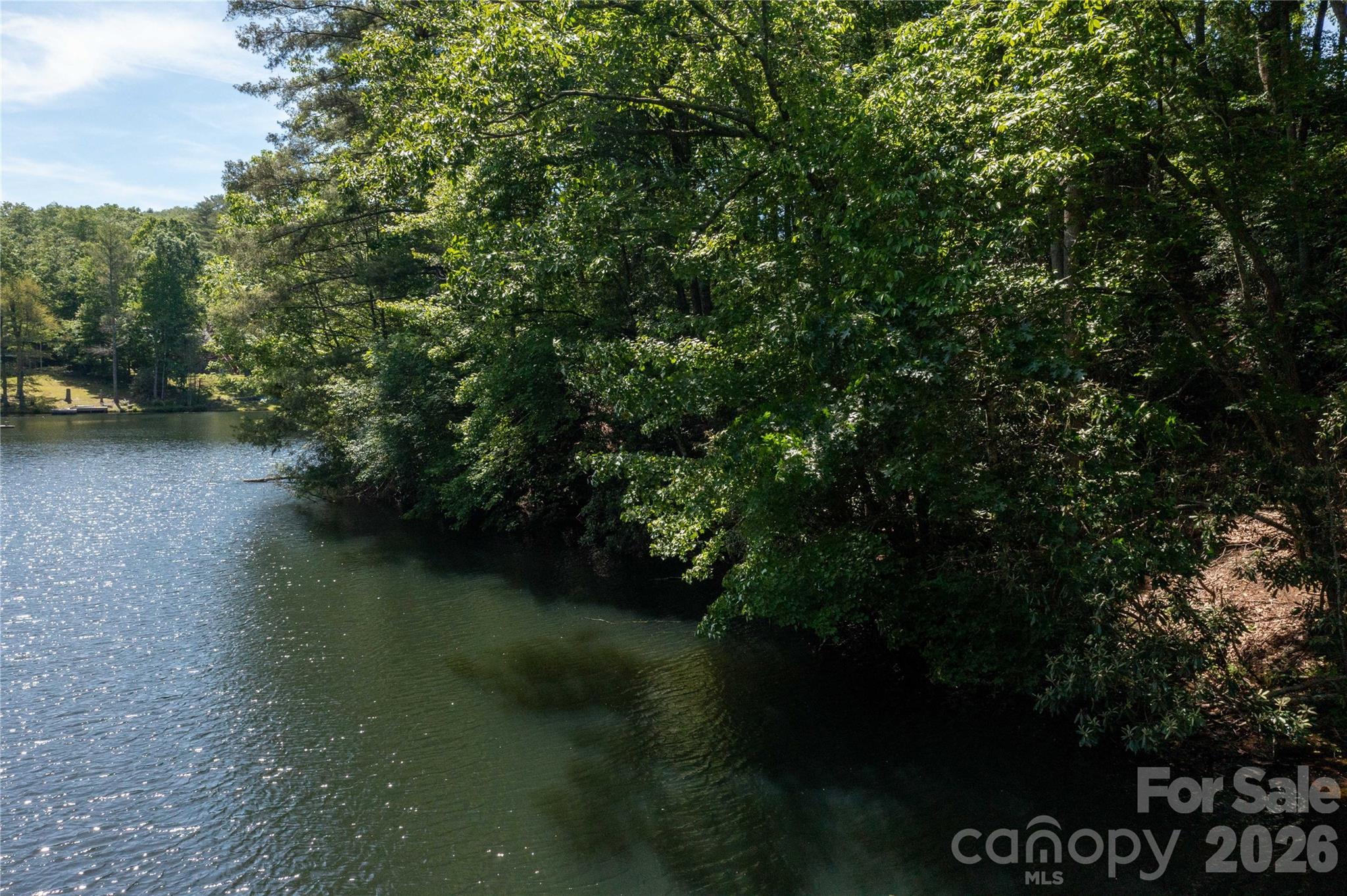 0 Deer Park Lake Road Spruce Pine, NC 28777 - Photo 9 of 24 a view of a lake from a yard