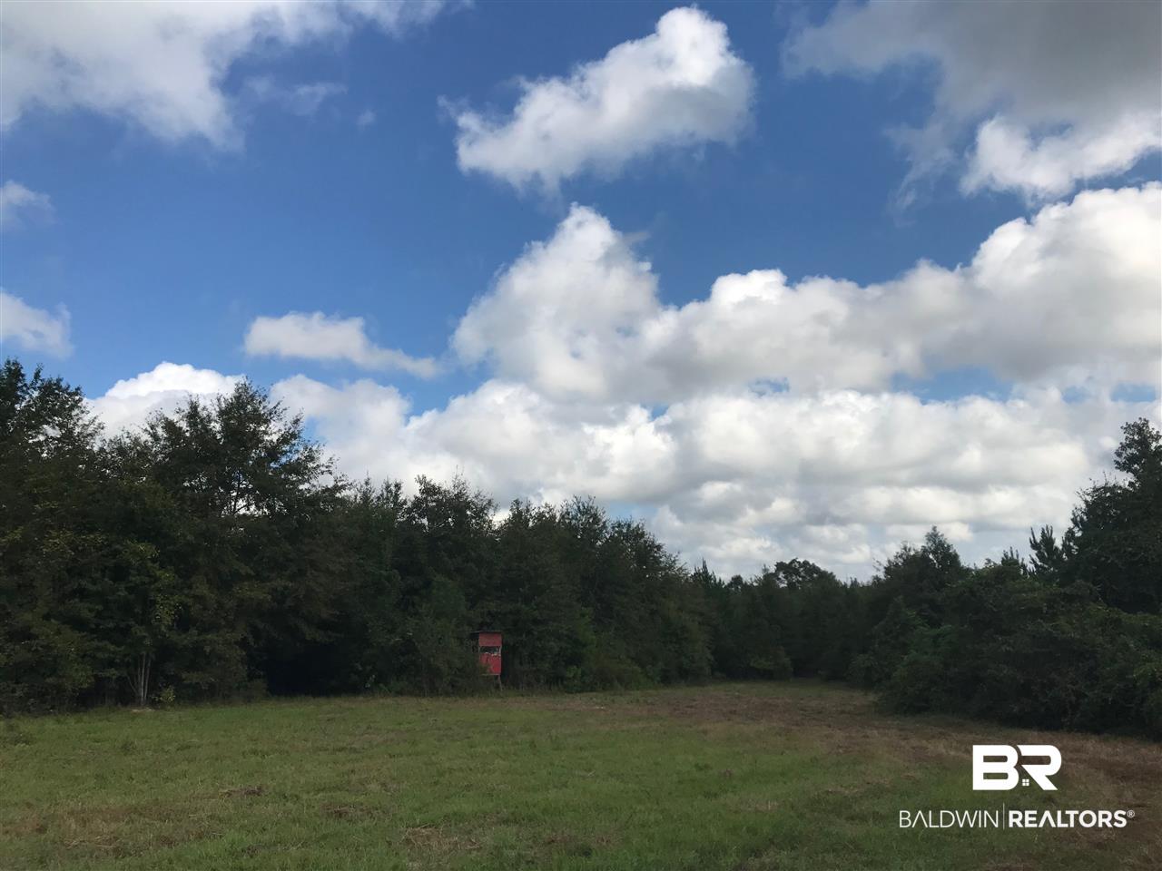 1000 Poole Road Castleberry, AL 36432 - Photo 1 of 17