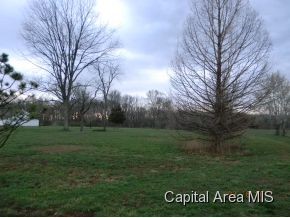 13502 Stamper Road Girard, IL 62640 - Photo 4 of 5