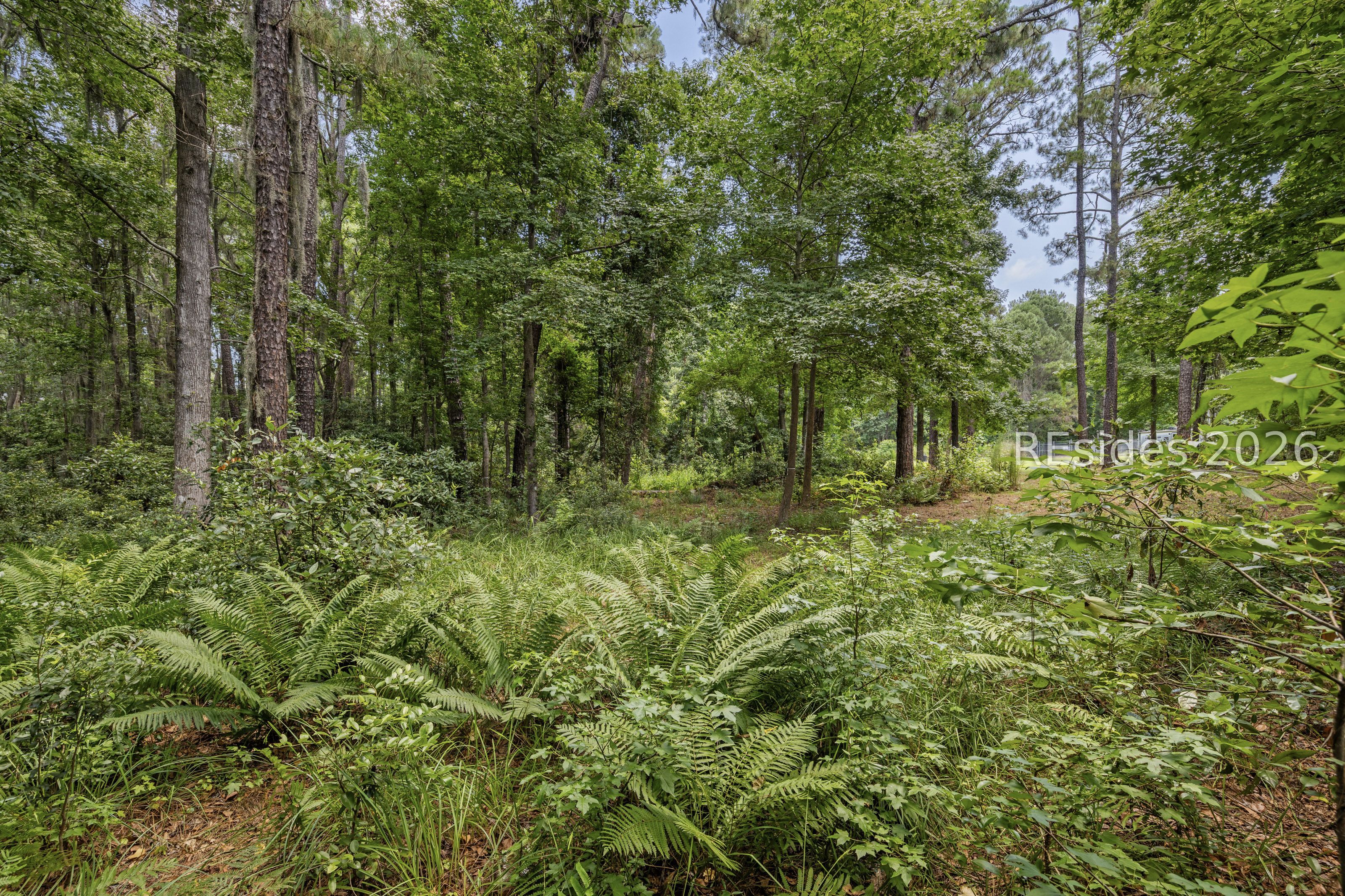 36 Leacybridge Road Bluffton, SC 29910 - Photo 9 of 33