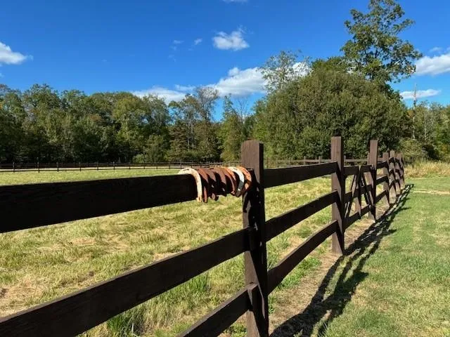 a view of a yard with two chairs and a table