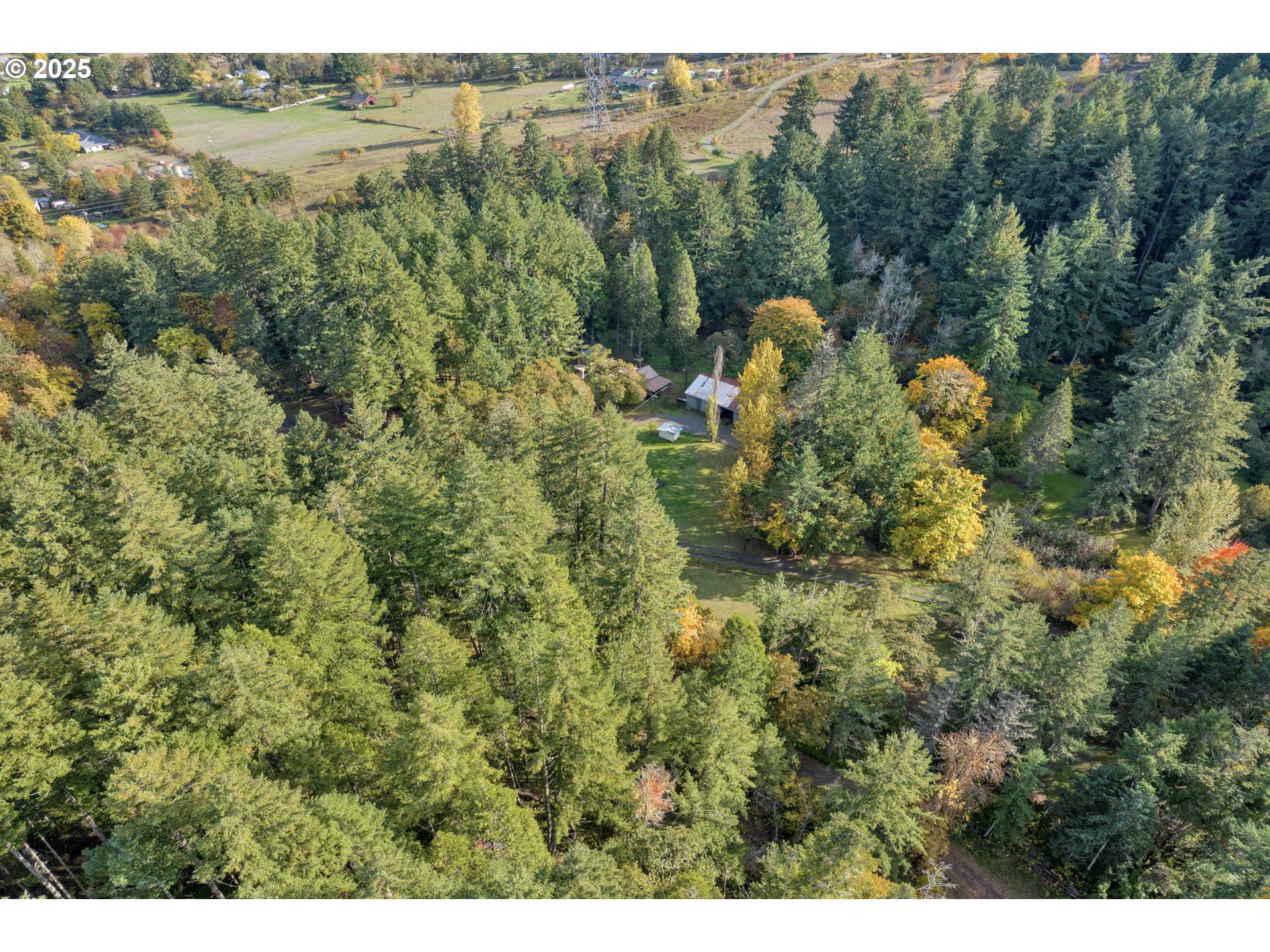 72792 Shoestring Road Cottage Grove, OR 97424 - Photo 26 of 43 Gallery Image 26