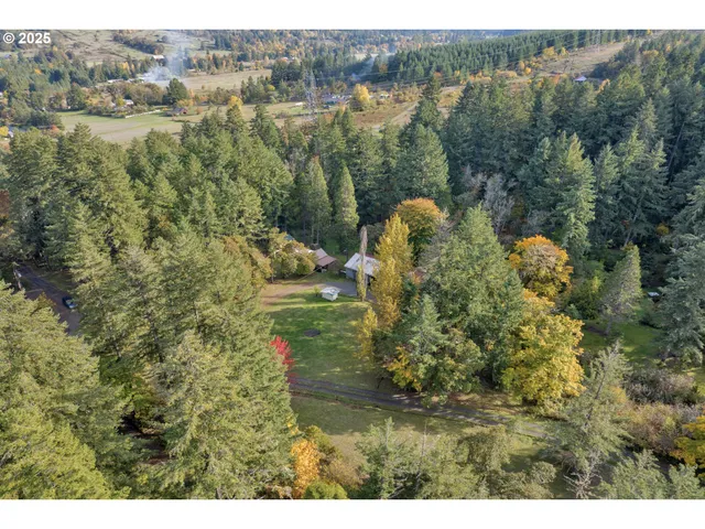 a view of a town with trees in the background