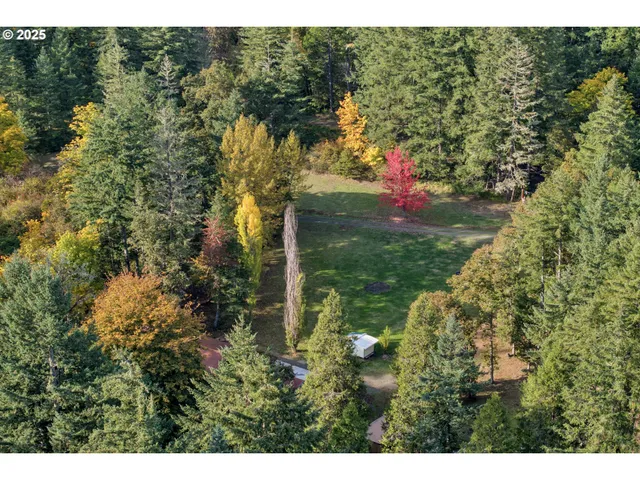 a view of a city with lush green forest