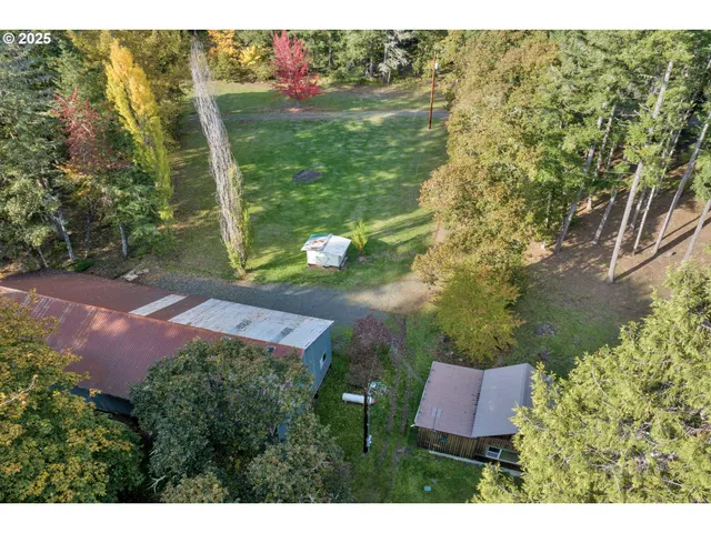 a view of outdoor space with trees all around