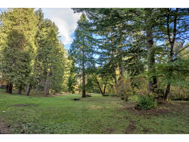 a view of a lush green forest with trees and some houses