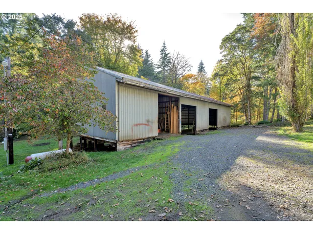 a view of a backyard with large trees