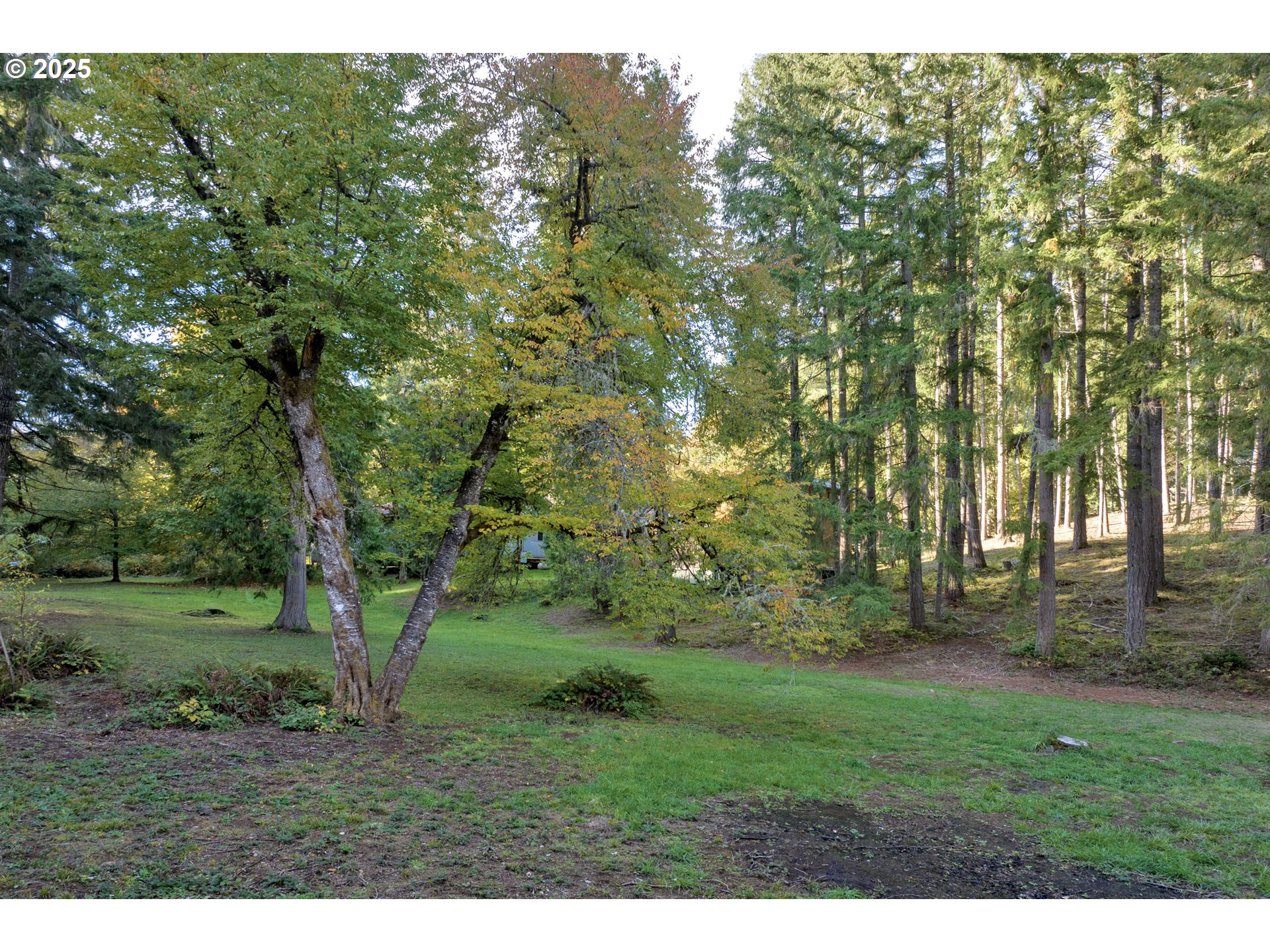 72792 Shoestring Road Cottage Grove, OR 97424 - Photo 41 of 43 Gallery Image 41