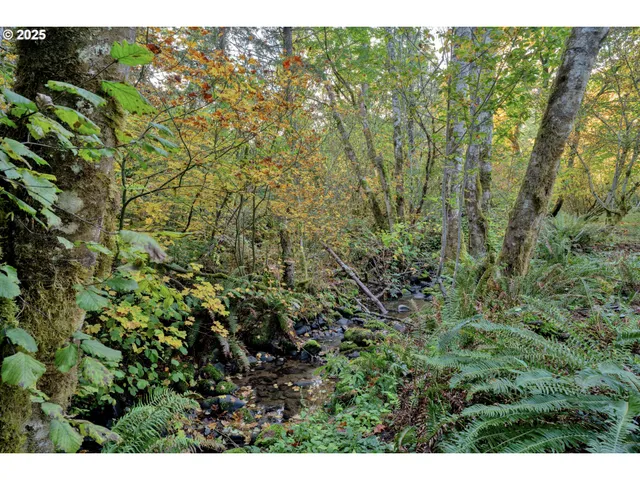 a view of a field of grass and trees
