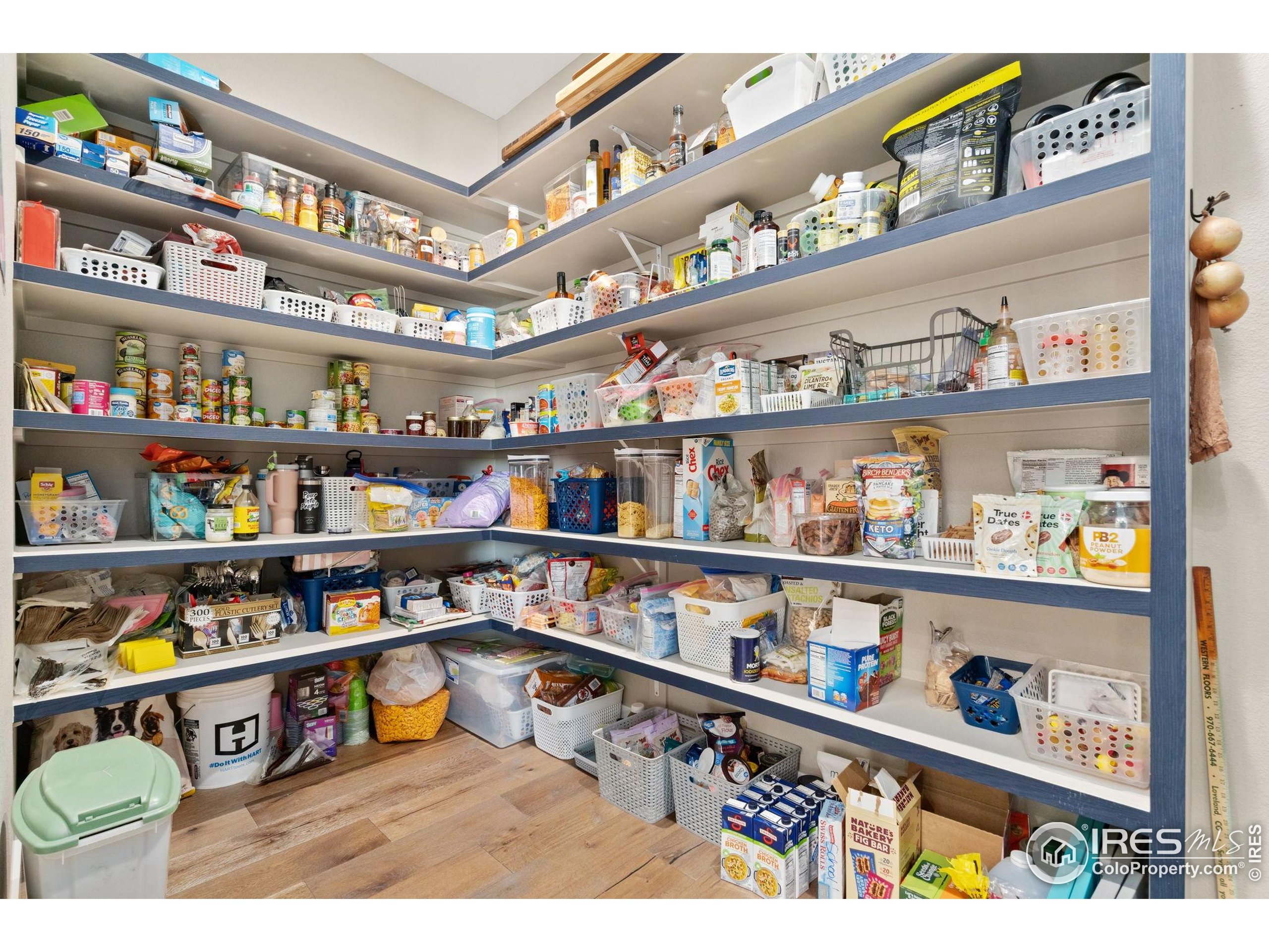3324 Fox Crossing Place Loveland, CO 80537 - Photo 22 of 47 a cabinet with shelves