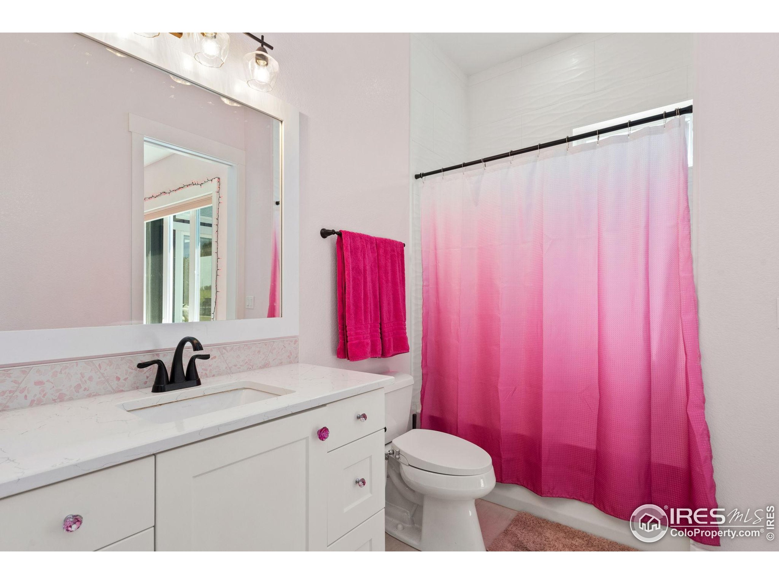 3324 Fox Crossing Place Loveland, CO 80537 - Photo 36 of 47 a bathroom with a sink a toilet and a mirror