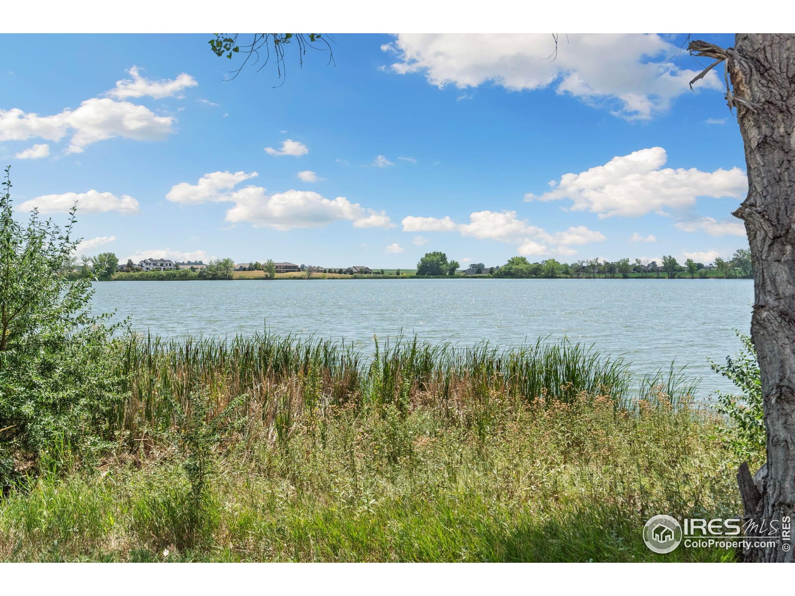 3324 Fox Crossing Place Loveland, CO 80537 - Photo 47 of 47 a view of lake and mountain