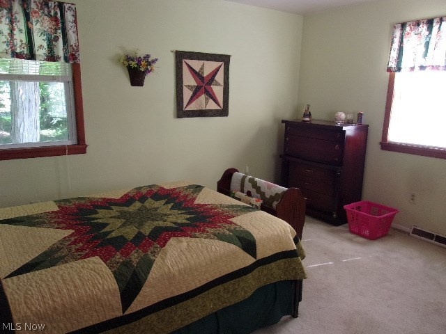 5747 Creek Road Andover, OH 44003 - Photo 7 of 18